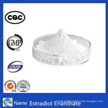 High Purity Hot Sale Estradiol Enanthate Powder